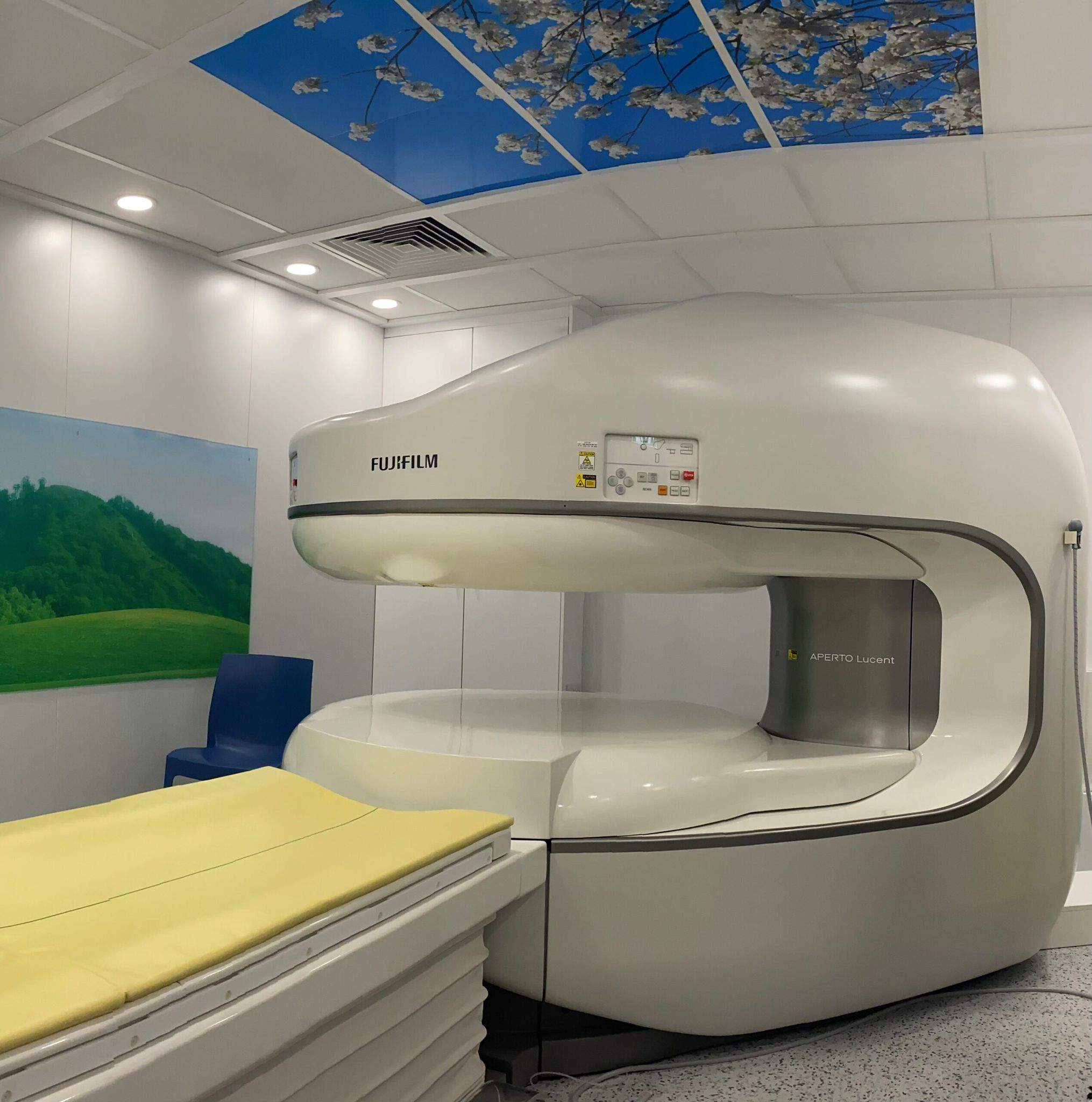 Medical scans
